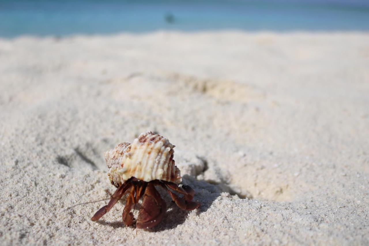Vevu Villa Fenfushi Bagian luar foto